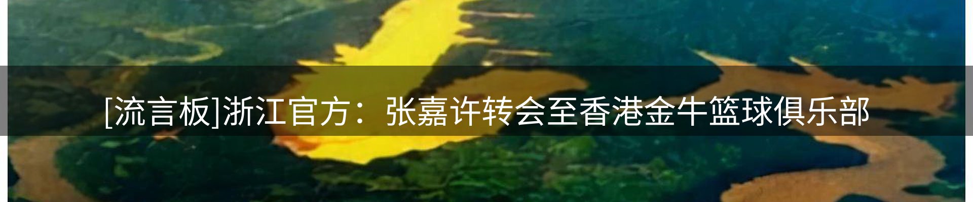 公司导读